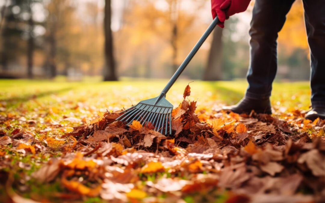 A person raking leaves